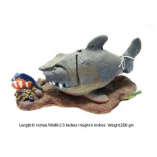 Shark Chasing Two Fishes